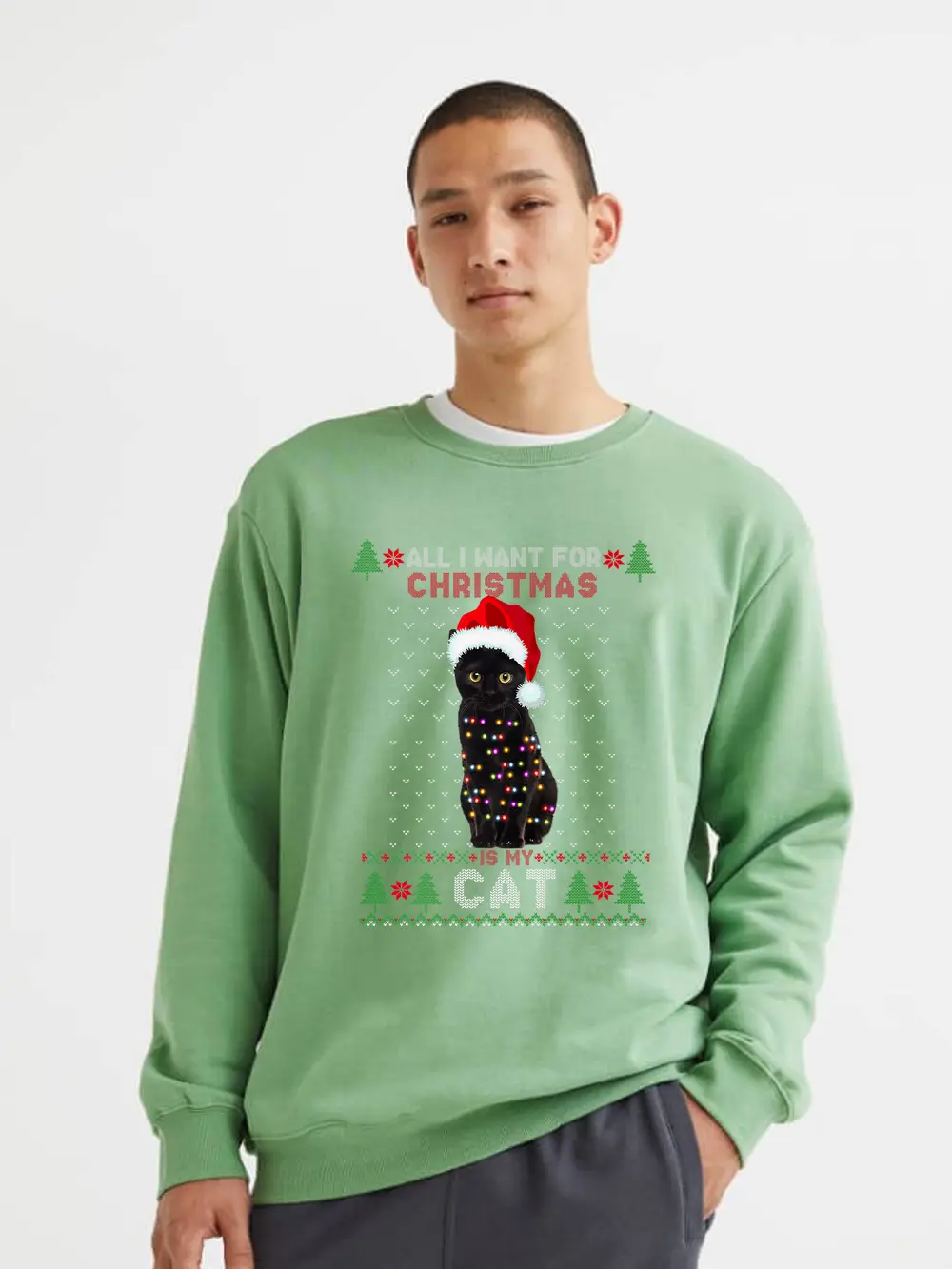 Funny Cat Lovers Cute Cat Santa Hat Ugly Christmas Sweater Premium Sweatshirt
